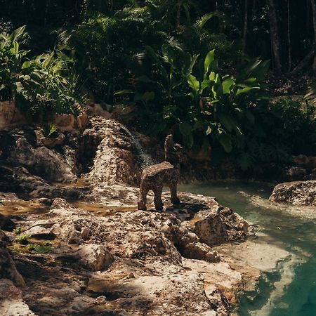 Отель Amaite Retreat Tulum Макарио-Гомес Экстерьер фото